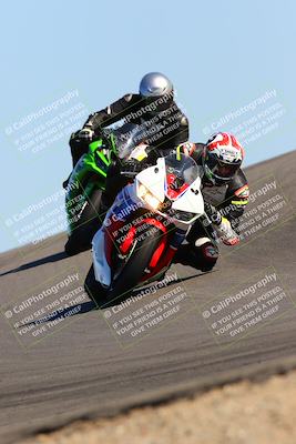 media/Feb-12-2022-SoCal Trackdays (Sat) [[3b21b94a56]]/Turn 12 (140pm)/